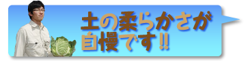 土のやわらかさが自慢です!