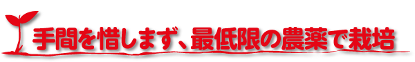 手間を惜しまず、最低限の農薬で栽培