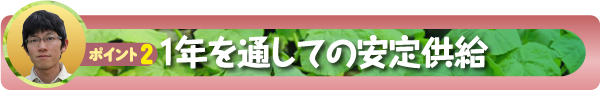 ポイント2:1年を通しての安定供給
