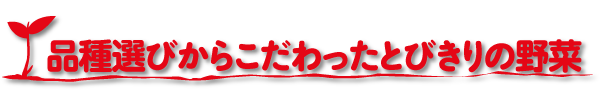 品種選びからこだわったとびきりの野菜