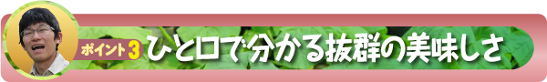 ポイント3:ひと口で分かる抜群の美味しさ